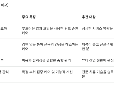 [칼럼] 마사지 취업 가이드: 성공적인 테라피스트 커리어를 위한 5가지 전략