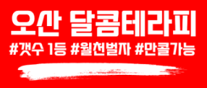 야간급구 10개가능 단일코스 대기없